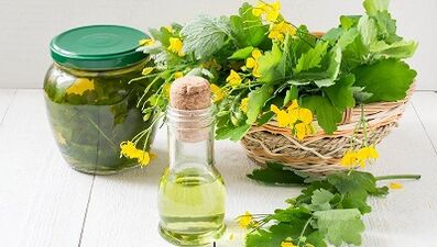 Celandin dekocija za liječenje gljiva noktiju